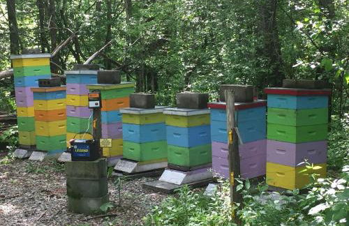 Historic Renovated Barn at Boorn Brook Farm - Manchester Vermont - Photo 31