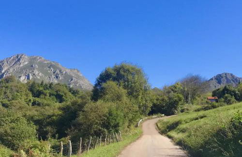 CANGAS DE ONIS RURAL HOUSE WITH VIEWs - Foto 31