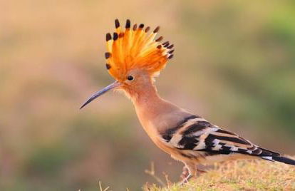 Quinta Vale da Paz - Foto 35