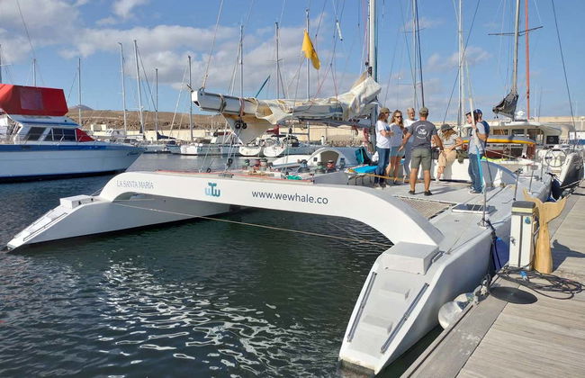 Avistamiento de delfines al atardecer en Puerto Calero - Foto 8