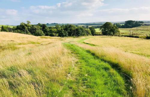 Elishaw Farm Holiday Cottages - Foto 13