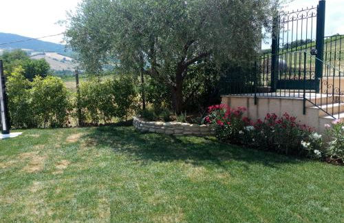 Le Vigne di Clementina Fabi - Foto 33