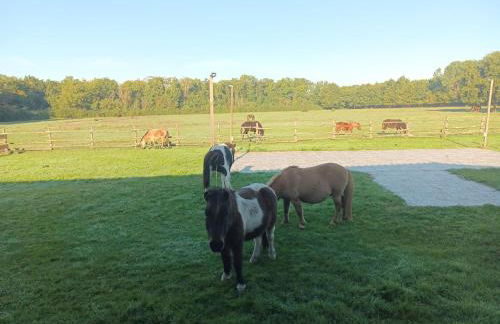 eco nature, gite à la ferme - Foto 21