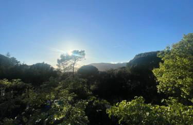 Le Mas de Cocody - Foto 21