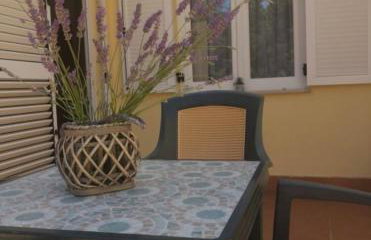 My Oasis - Foto 19