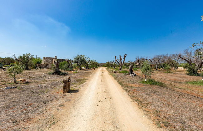 2072 Trulli li Corsari - Trullo Piccolo by Barbarhouse - Foto 28