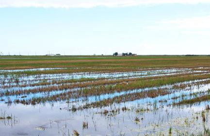 Allotjament turistic Casa Serral-Ocampo - Foto 42
