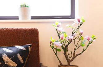 #57 Central Taunton 2BR APT - Sleeps 6 - 5 mins to Taunton Player Ready 2 - "Perfect For Contractors and Families - Free Parking" - Foto 43