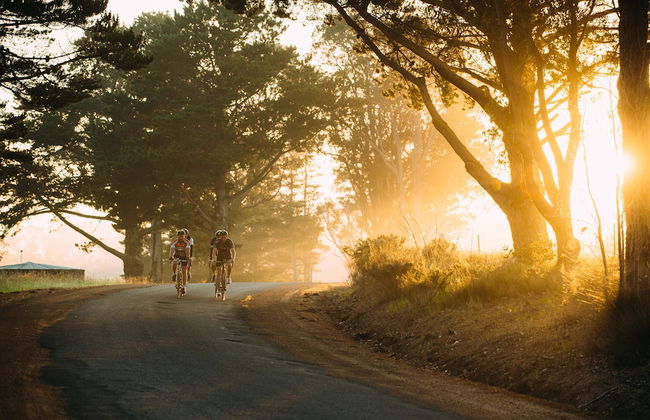 Acacia Chalets - Foto 38