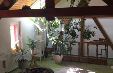 Haus Luise - Foto 12