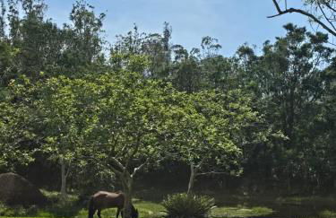 Bangalo a beira do rio em plena natureza - Foto 2