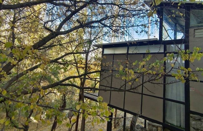 Zihin With Forest View - Cloud Nine And a Half - Photo 6