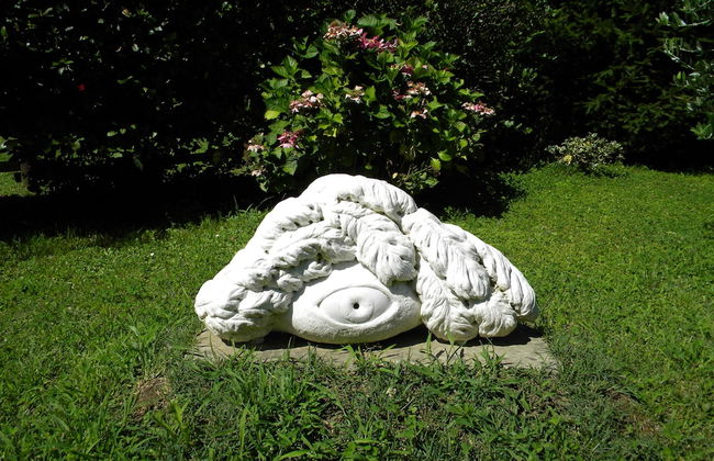 Podere Campofossato - Photo 30