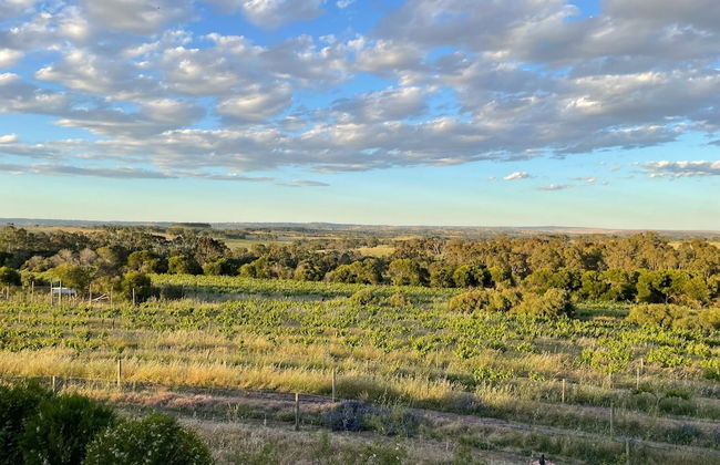 Kesehills Wines Villa - Foto 65