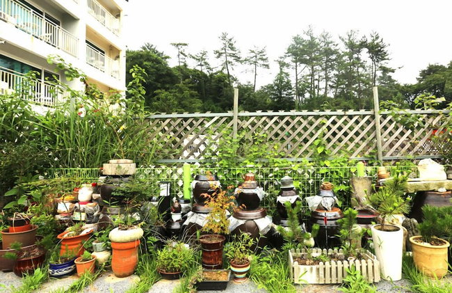 Matryoshka Pension - Foto 53