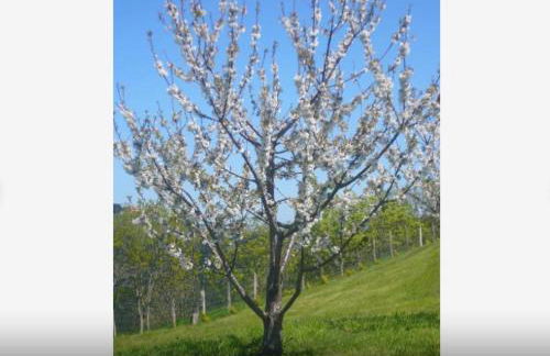 Casa completa - Photo 26