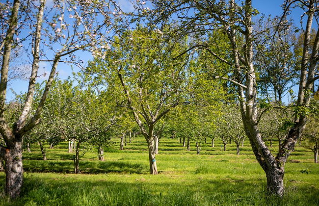 Dragon Orchard Retreat - Photo 42