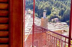 Forrest Guesthouse - Foto 39