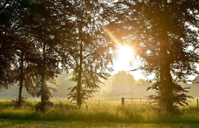 Wellness Forest Retreat - Photo 33