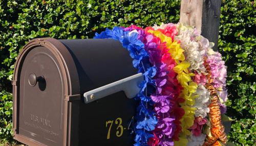 The Great Kona Escape - Foto 2