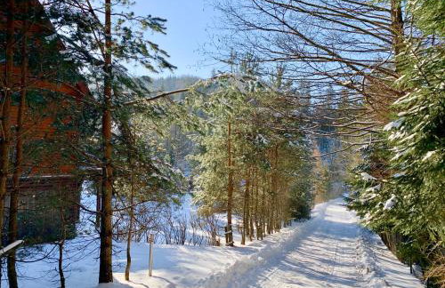 Dom CROCUS z ogrodem w Parku Krajobrazowym - Foto 34