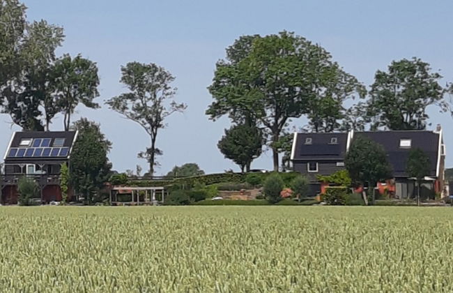 Polderzicht - Foto 19