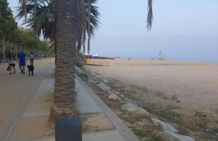 Apart 2 habit vistas playa y montaña lift parking - Photo 16