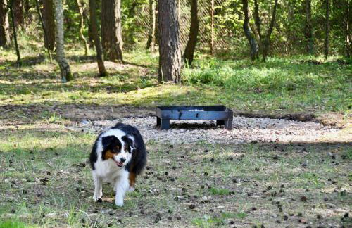 Daleko od Szosy - Foto 19