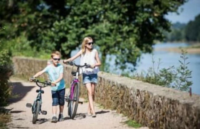 Les Pénates de Loire - Foto 45