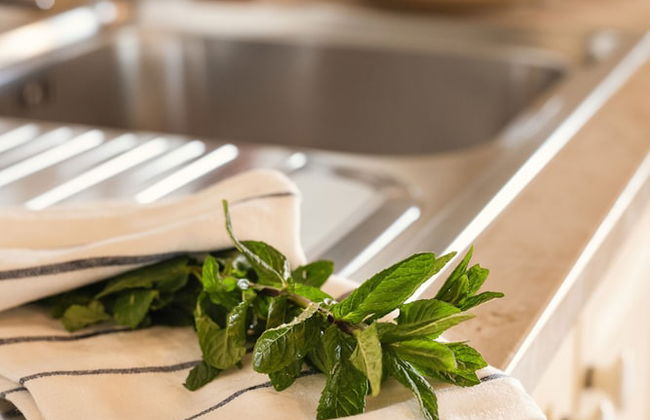 Podere l'Agave - Foto 50