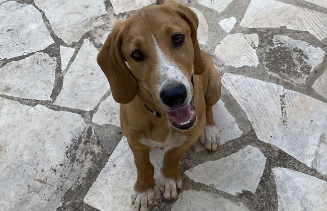 Agriturismo Il Melograno - Foto 38