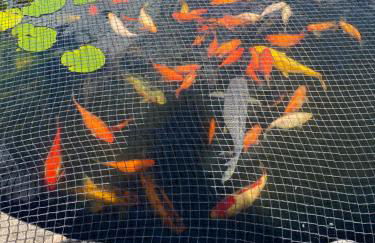 Acorn Cottage - Photo 31