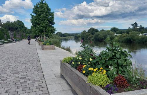 Ferienwohnung Feld und Wiese - Foto 23