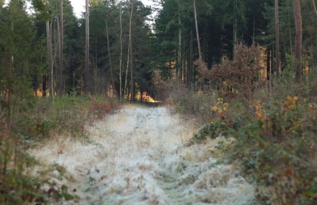 Holiday Home Feike Comfortable Vacation Home - Foto 15