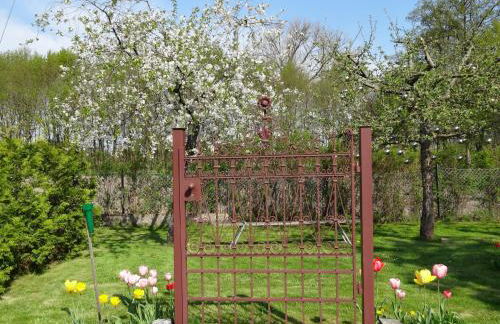 Ferienhaus Kamerun an der Elbe - Foto 70