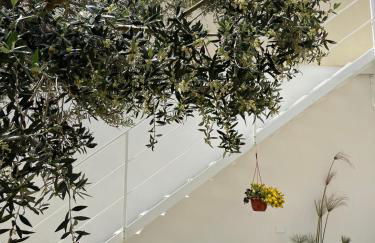 Masseria Causio - Foto 11