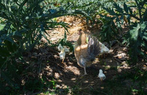 Complejo Rural en Porcuna-Jaén by Málaga Planners - Foto 47