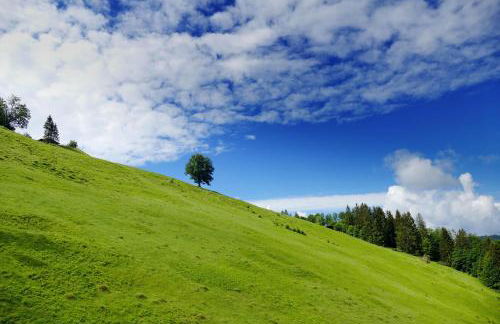 Haus Panoramablick - Fewo Storchennest, Höchenschwand - Foto 14