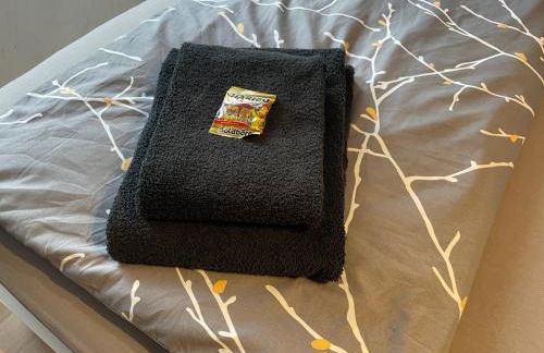 OM Moderne Wohnung, WLAN, Küche, Bad in Stadtilm - Photo 10