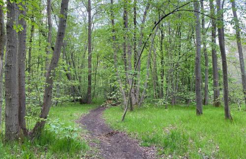 Le petit Hameau, t2 avec jardin et parking - Foto 32