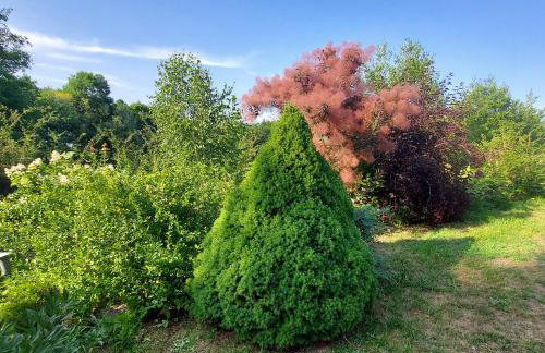 DUSZNICa 35 - Foto 26