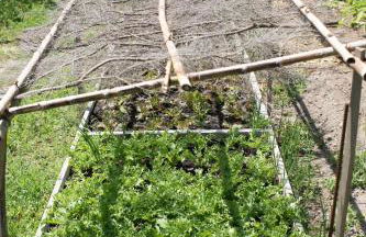 Relais du vieux sauvaire - Foto 62