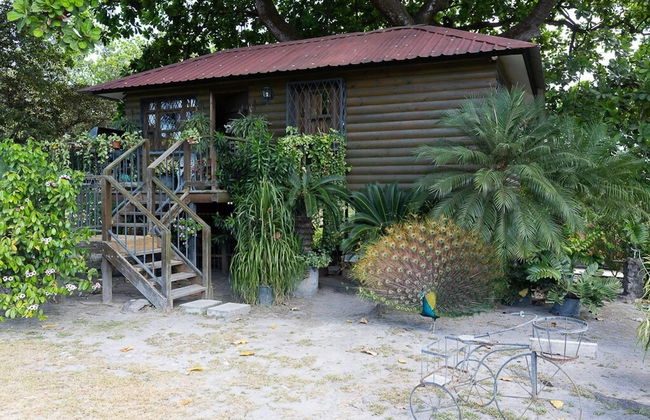 Quinta Pavo Real Complex by Acomodo - Photo 11