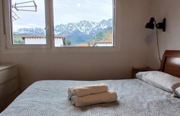 Mirando a los Picos de Europa - Foto 22