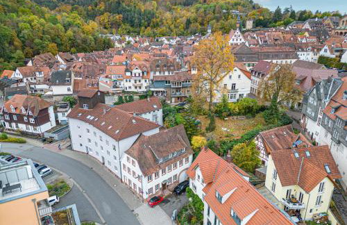LIT LIVING Weinheim Altstadt - Boutique Apartments - Parking - Foto 29