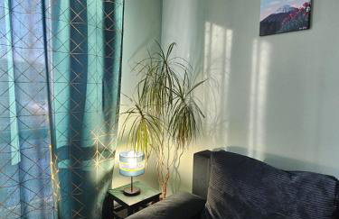 3 pokoje koło Parku przy Żwirki - Photo 5