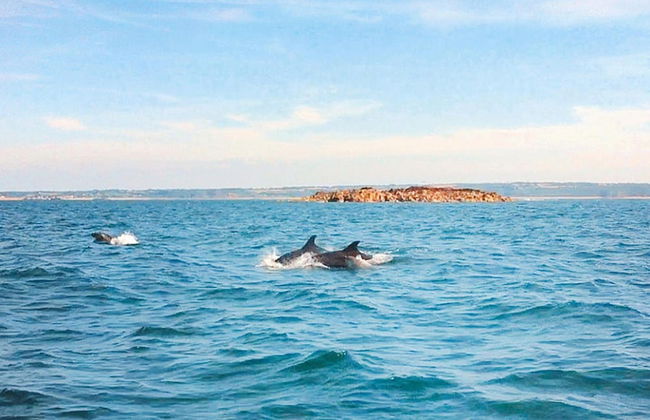 Nice Holiday Home Near the Beach, Hillion - Photo 14