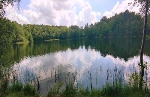 Feriendorf am Weinberg, Dobbrikow - Foto 13