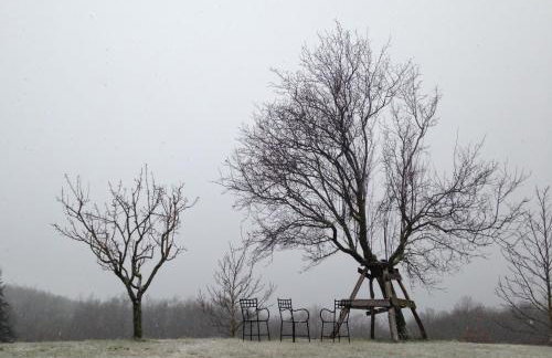 Agriturismo La Casina della Burraia - Foto 73