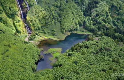 Casa do Avô Silva - Foto 30